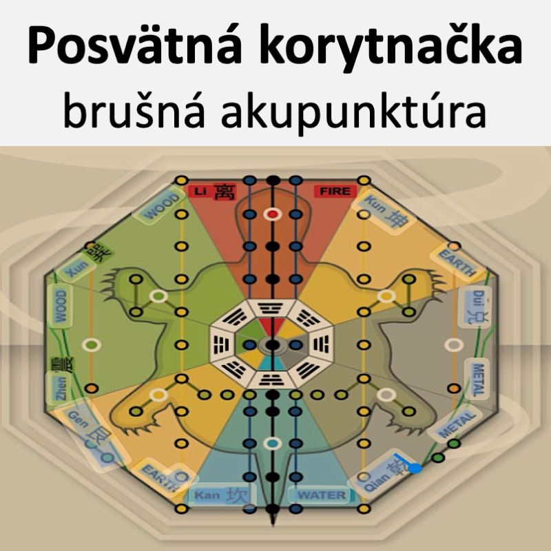 Posvätná korytnačka - brušná akupunktúra naživo