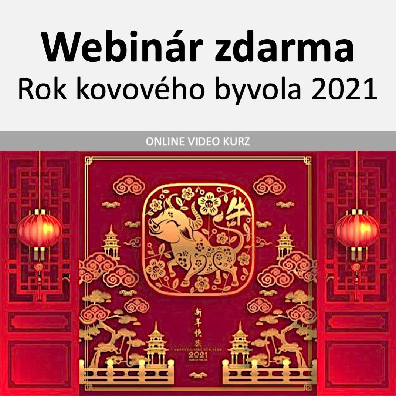 Čo nás čaká v roku Kovového Byvola 2021 - bezplatný webinár
