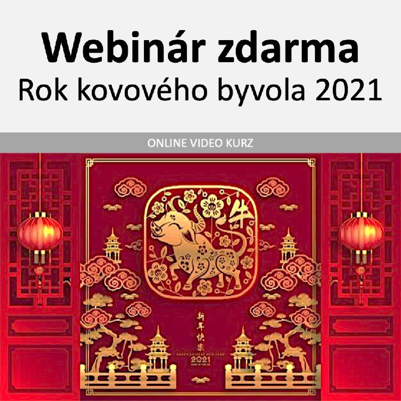 Čo nás čaká v roku Kovového Byvola 2021 - bezplatný webinár