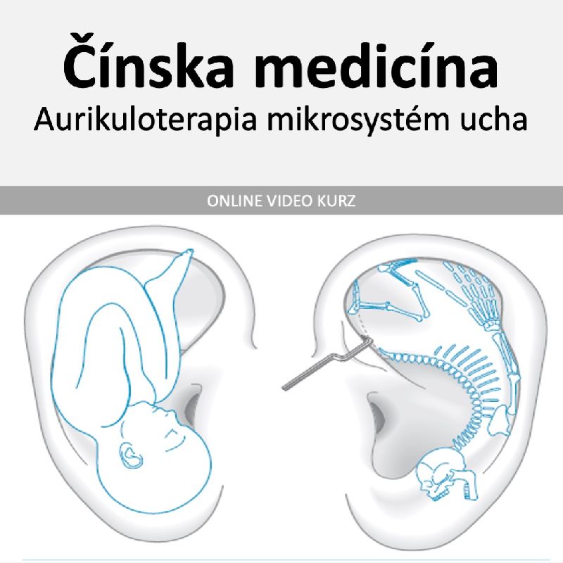 Aurikuloterapia mikrosystém ucha - teória aj prax