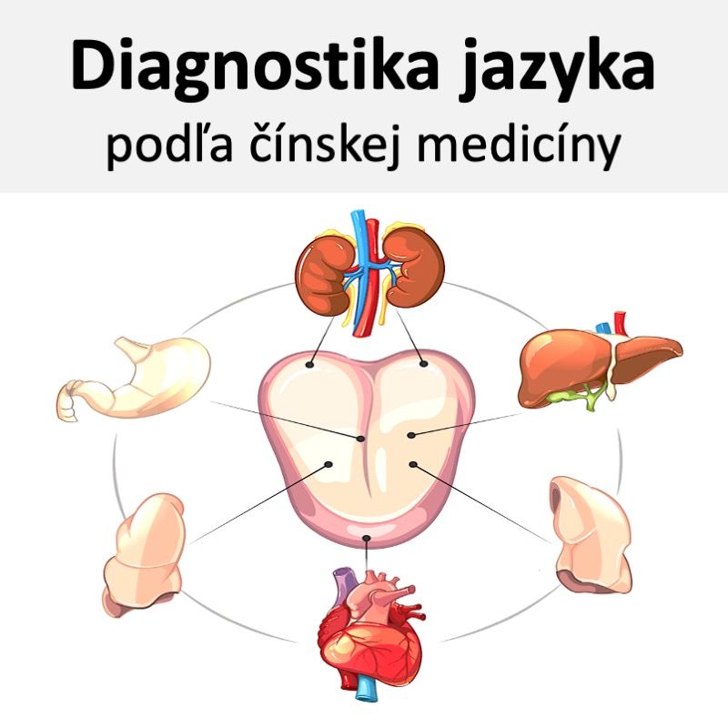 Diagnostika jazyka