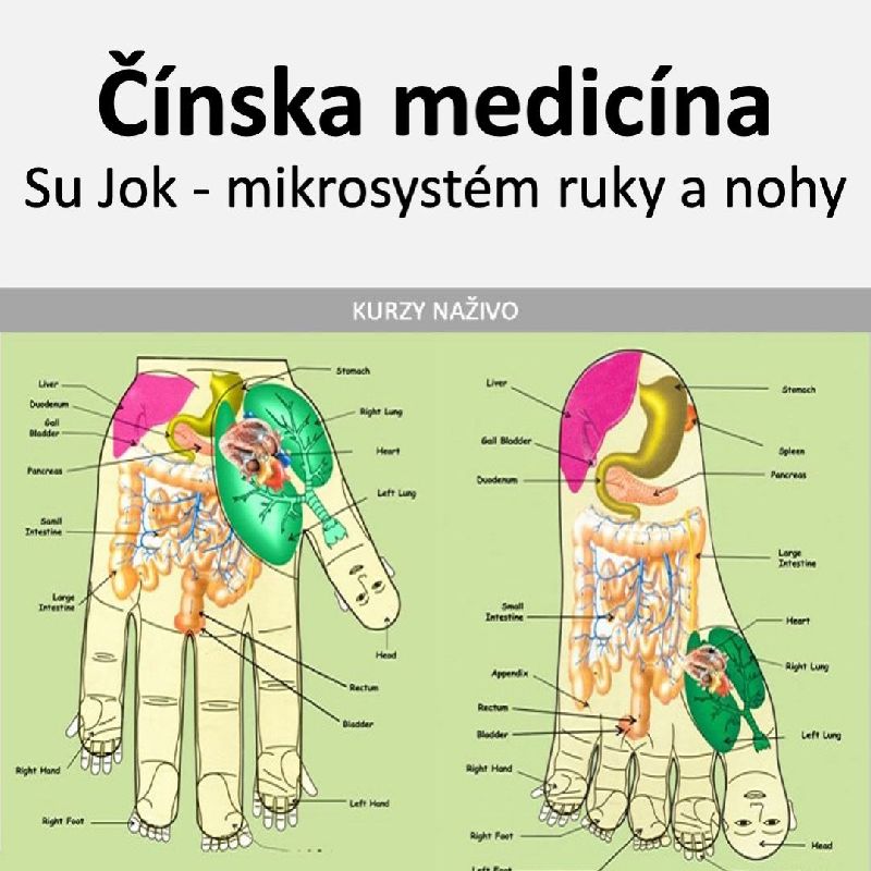 Su Jok, mikrosystém ruky a nohy - praktický workshop naživo