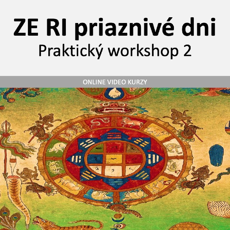 ZeRi - pokročilé techniky analýz praktický workshop 2 online