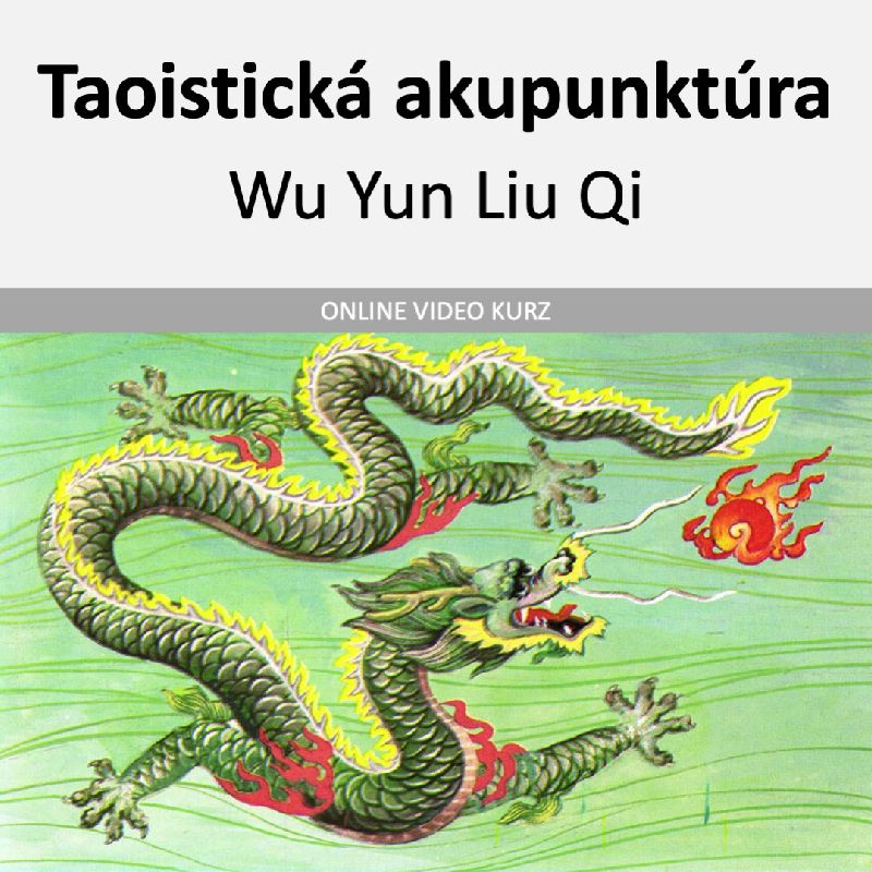 Taoistická akupunktúra - modul 03 - Nebeské kmene, patogény a dráhy - online